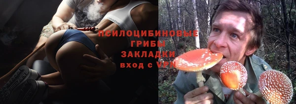 амф Нязепетровск