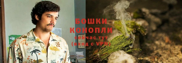 стаф Нягань