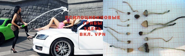 стаф Нягань